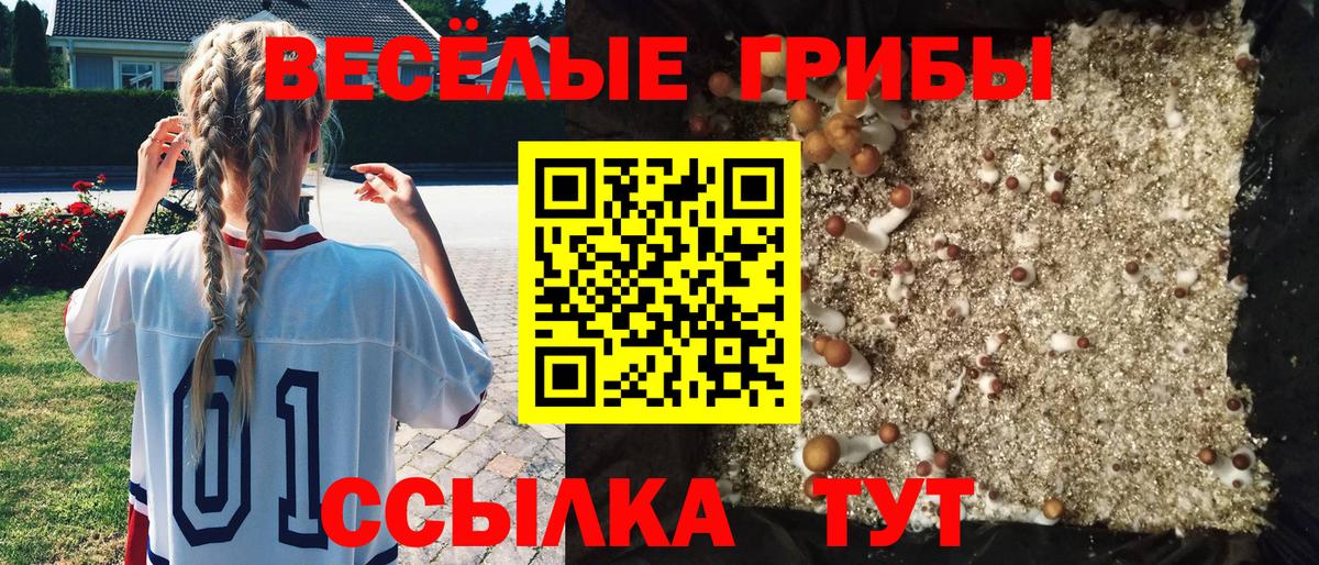 Киров  Псилоцибиновые грибы мицелий  Вход с VPN 